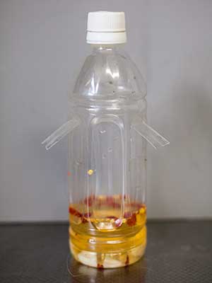 出来上がったもの