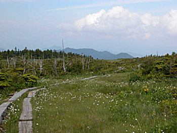 田代山