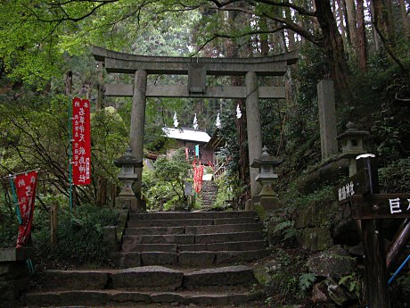 名草巨石群近辺の秋の野草ー栃木県足利市 山野草を育てる